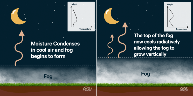 difference between advection fog and radiation fog