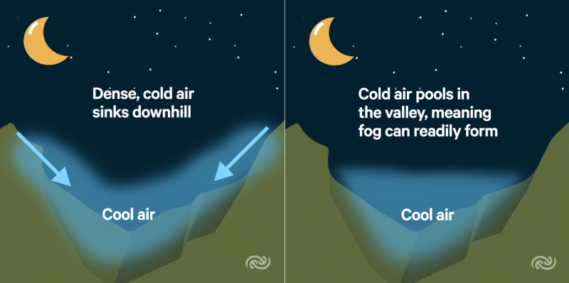 difference between advection fog and radiation fog