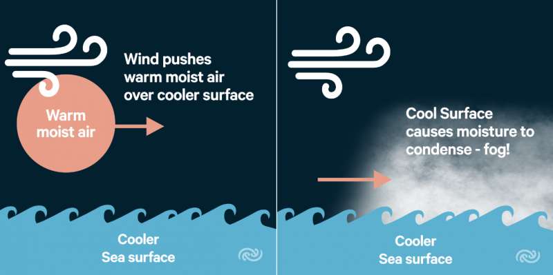 the-physics-of-fog-metservice-blog