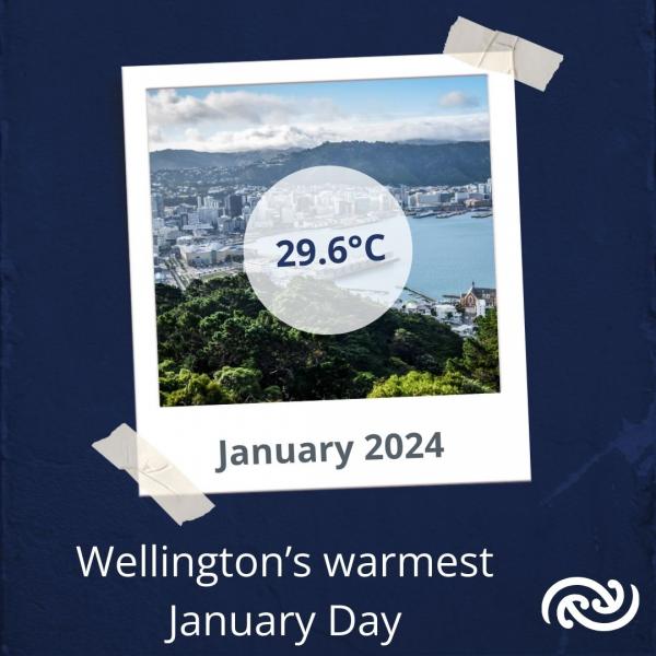 Wellington Airport reached 29.6°C on 22 January 2024, the warmest January temperature recorded there (records go back to 1972)