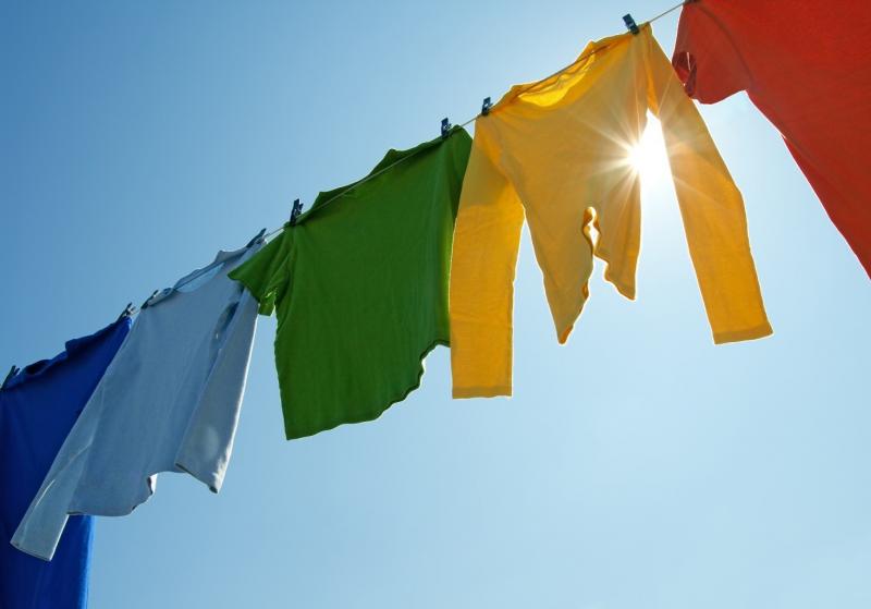 Wet clean underwear hanging out to dry on clothes line in Australian  backyard on a sunny spring day People Images