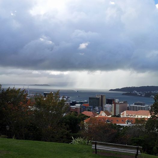 A shower over part of Wellington Harbour can be seen on the right-hand side of the photo, while Matiu/Somes Island on the left hand side remains dry. Photo taken from the Botanic Gardens by Lisa Murray, MetService.